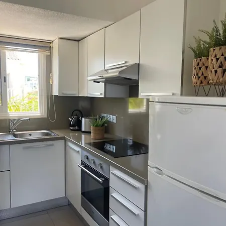 Nicholas Seaview פרוטאראס